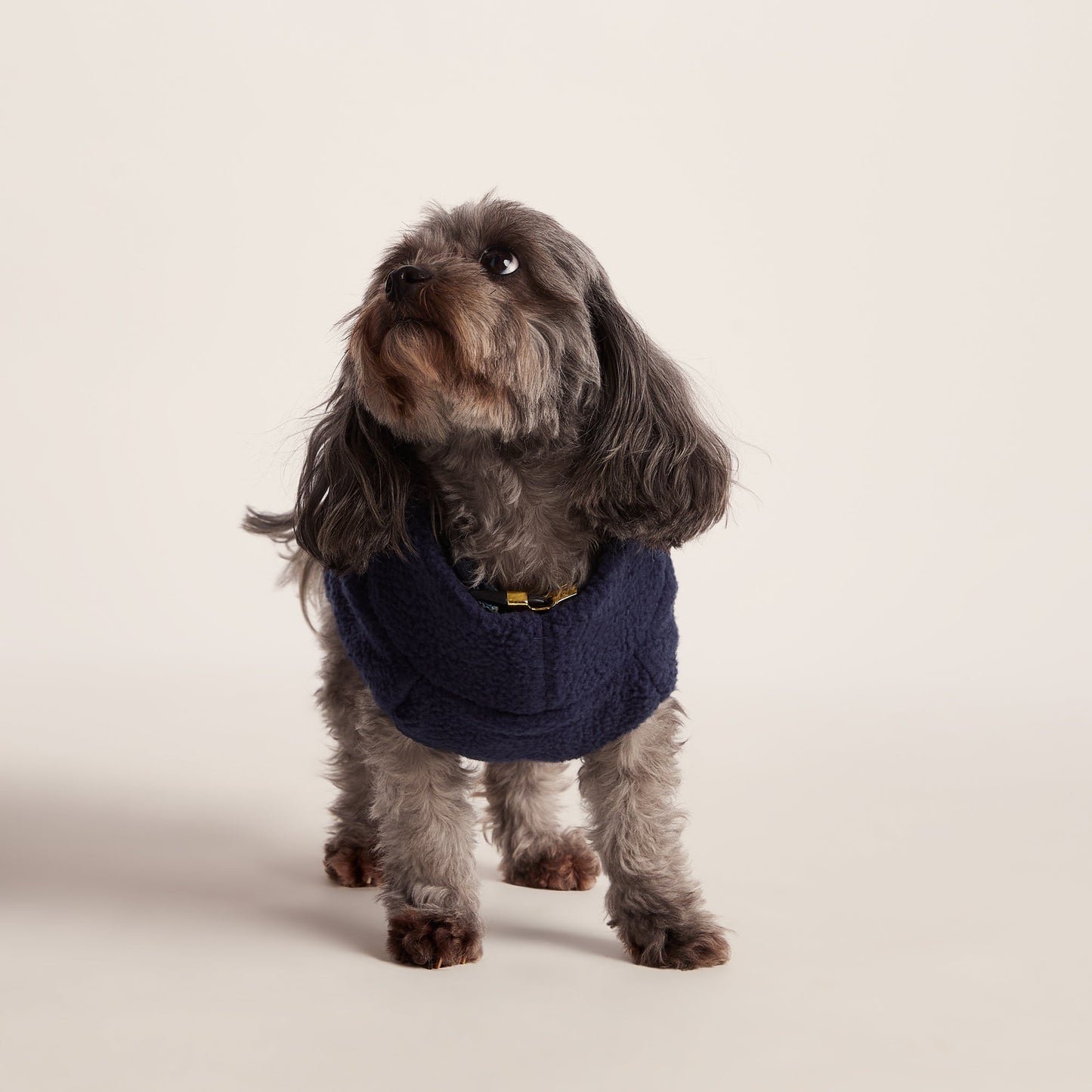 Rover Sherpa Dog Coat XS - Oxford Blue