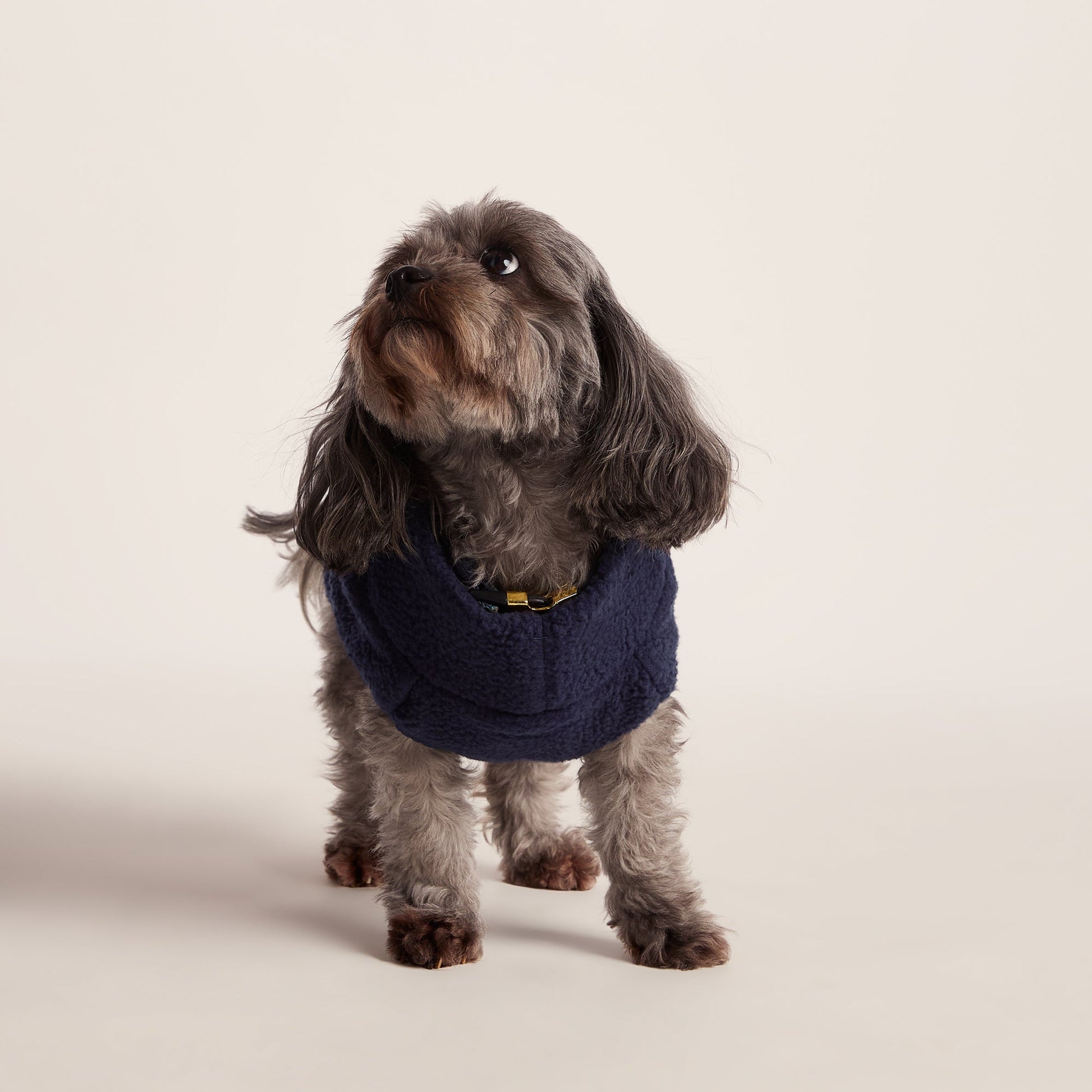 Rover Sherpa Dog Coat XS - Oxford Blue