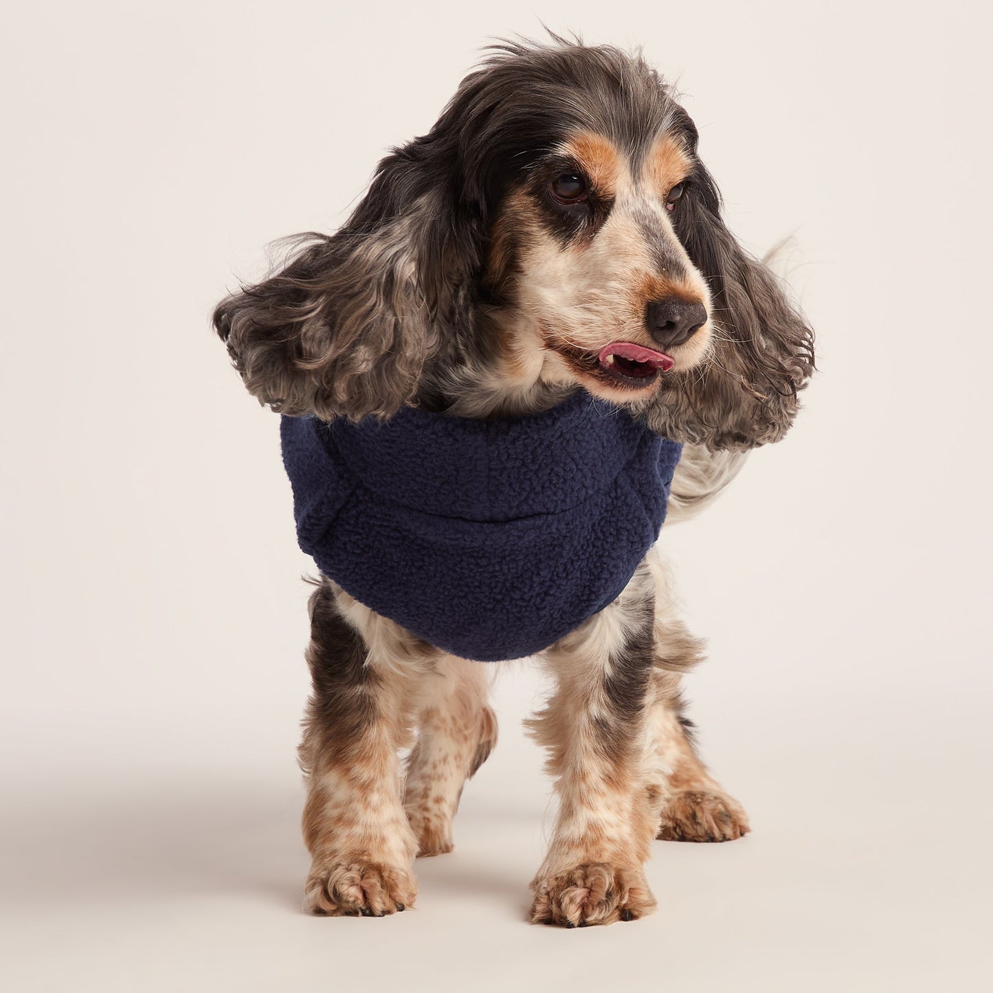Rover Sherpa Dog Coat M - Oxford Blue