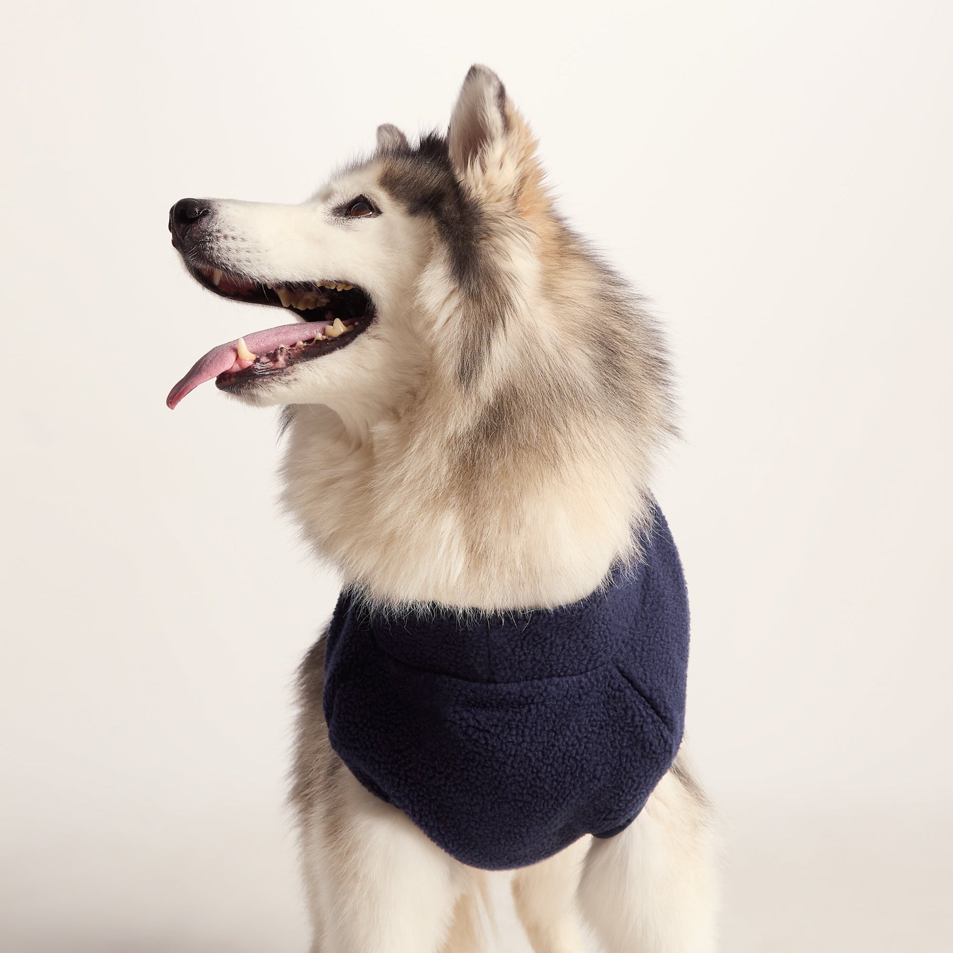 Rover Sherpa Dog Coat L - Oxford Blue