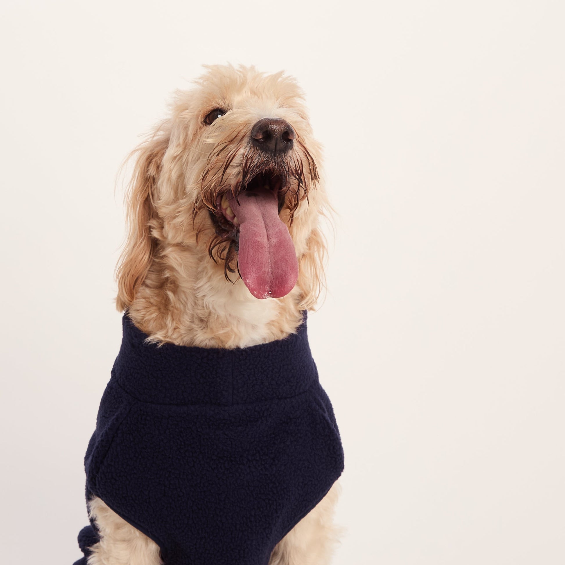 Rover Sherpa Dog Coat XL - Oxford Blue