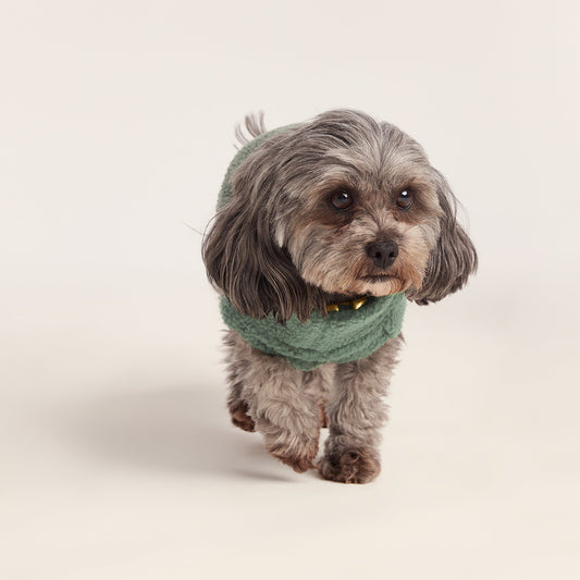Rover Sherpa Dog Coat XS - Light Forest