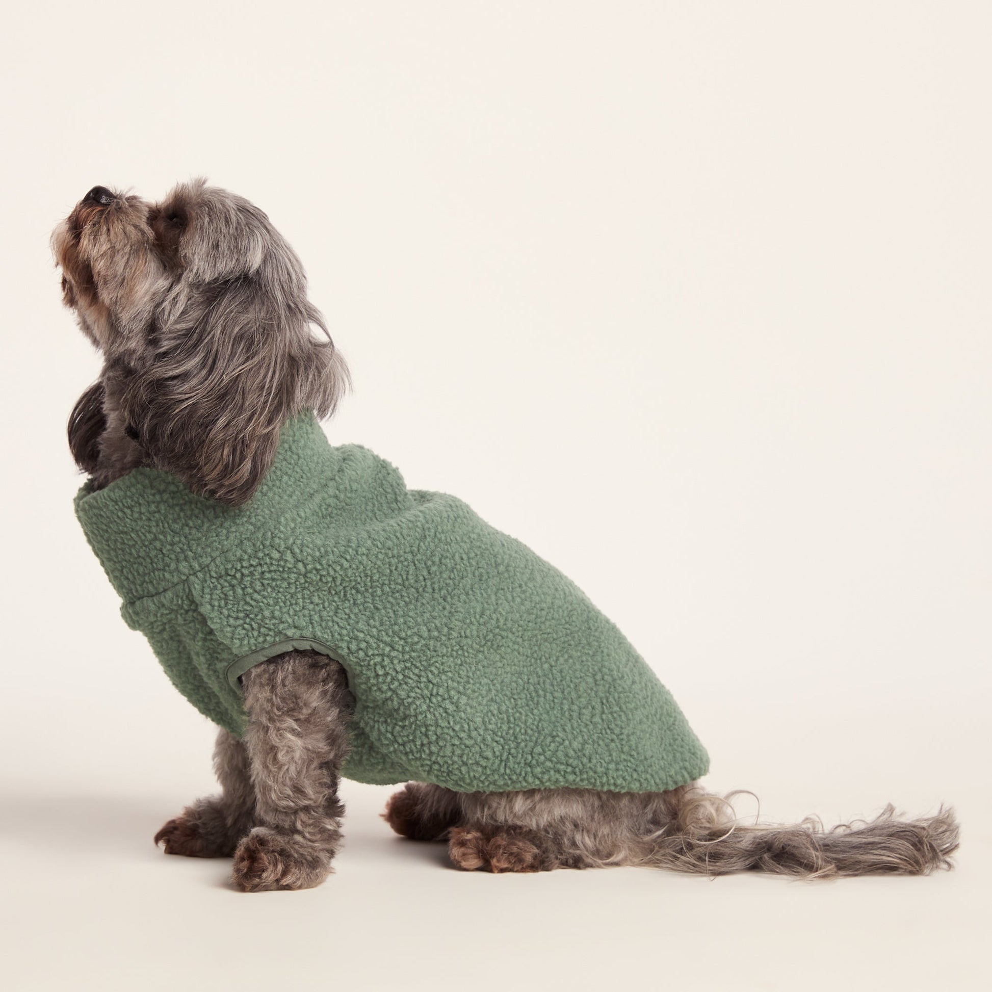 Rover Sherpa Dog Coat XS - Light Forest