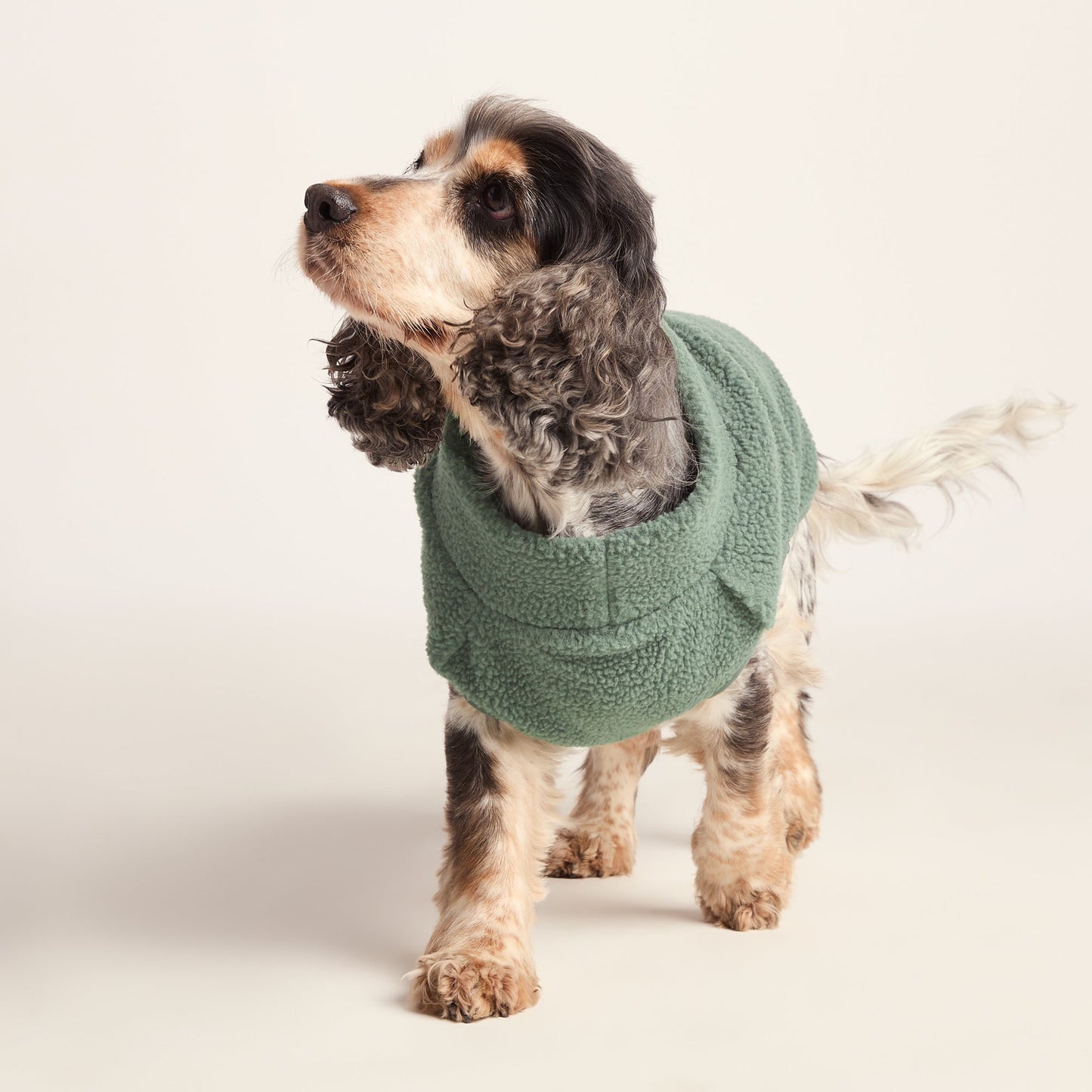 Rover Sherpa Dog Coat M - Light Forest