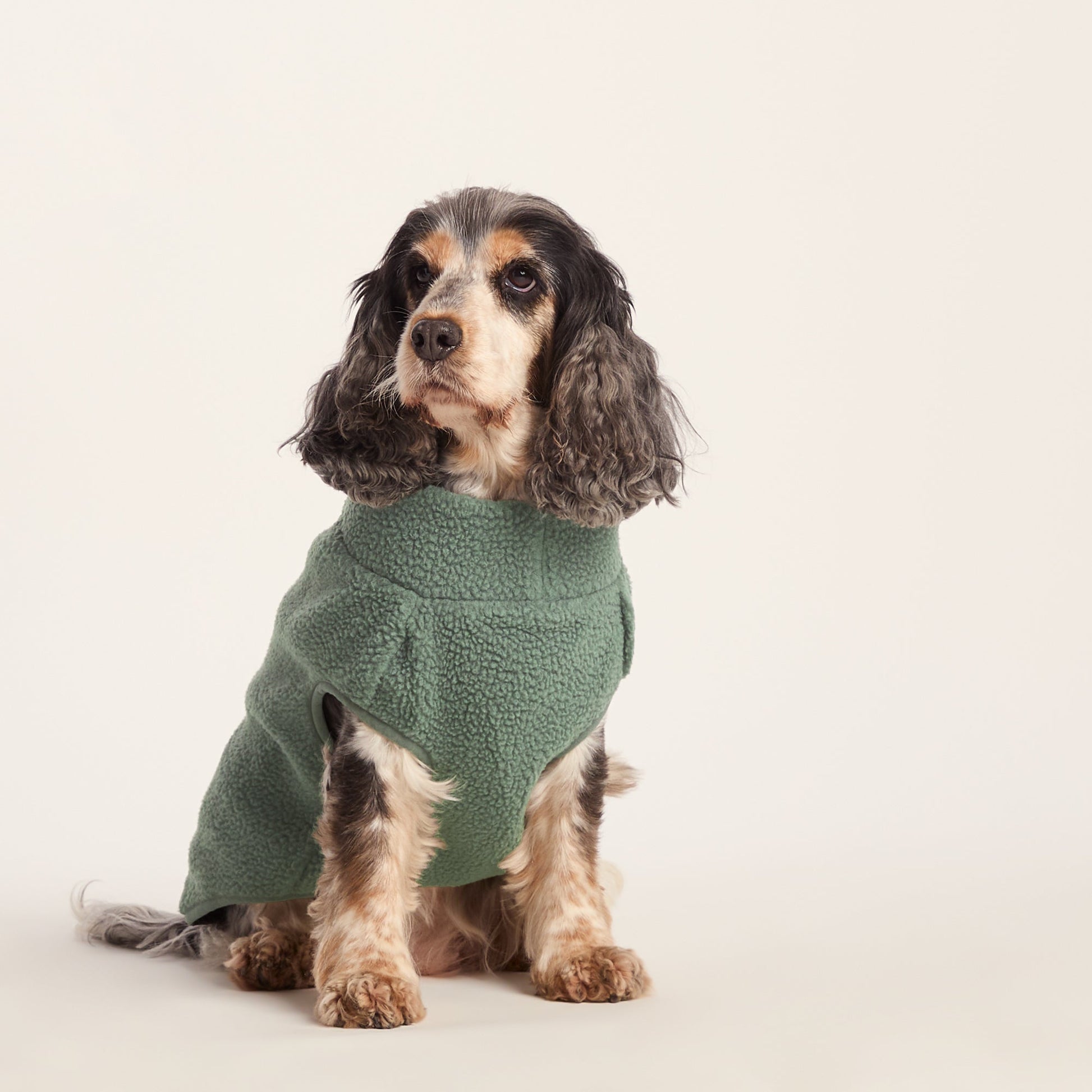 Rover Sherpa Dog Coat M - Light Forest