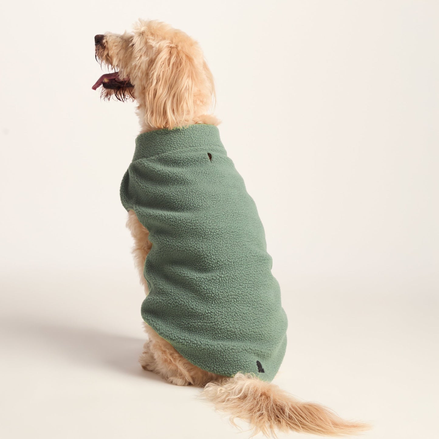 Rover Sherpa Dog Coat XL - Light Forest