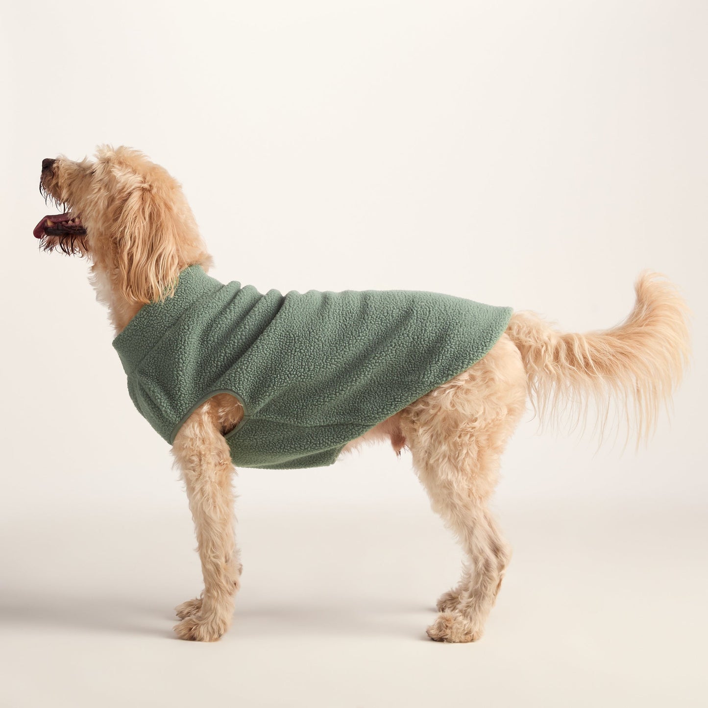 Rover Sherpa Dog Coat XL - Light Forest