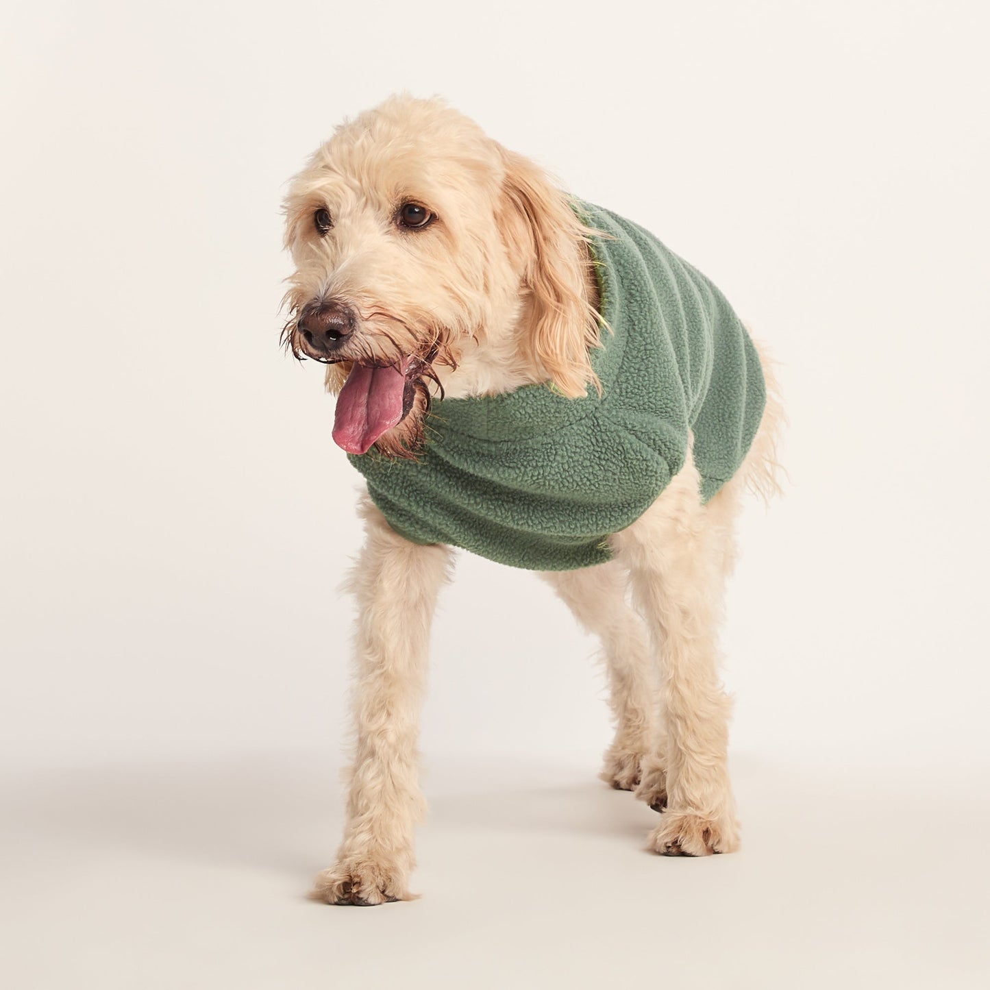 Rover Sherpa Dog Coat XL - Light Forest