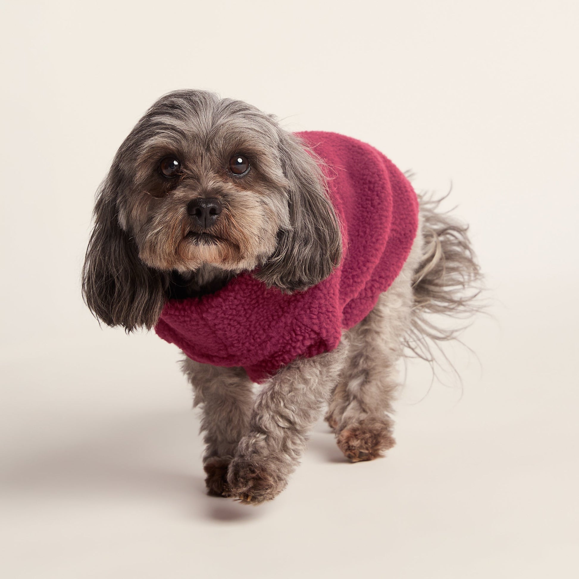 Rover Sherpa Dog Coat XS - Washed Burgundy