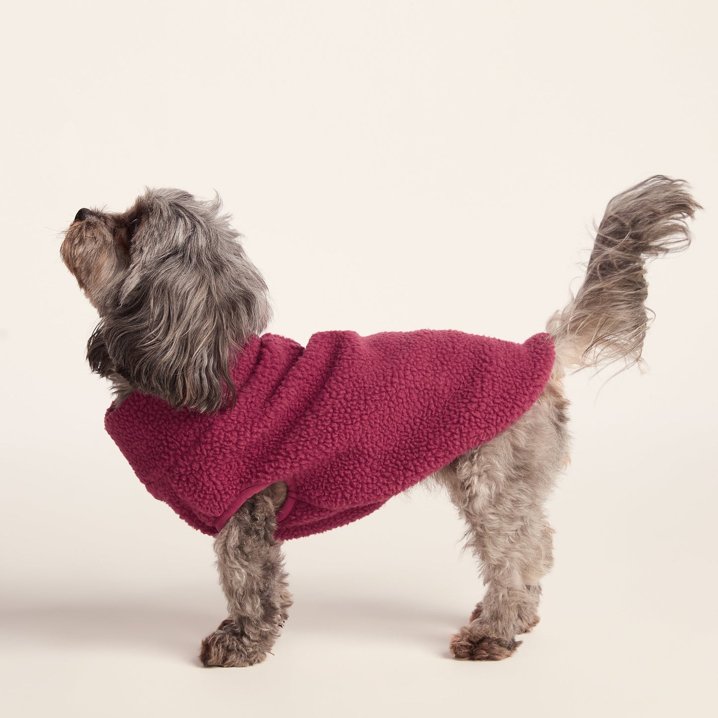 Rover Sherpa Dog Coat XS - Washed Burgundy