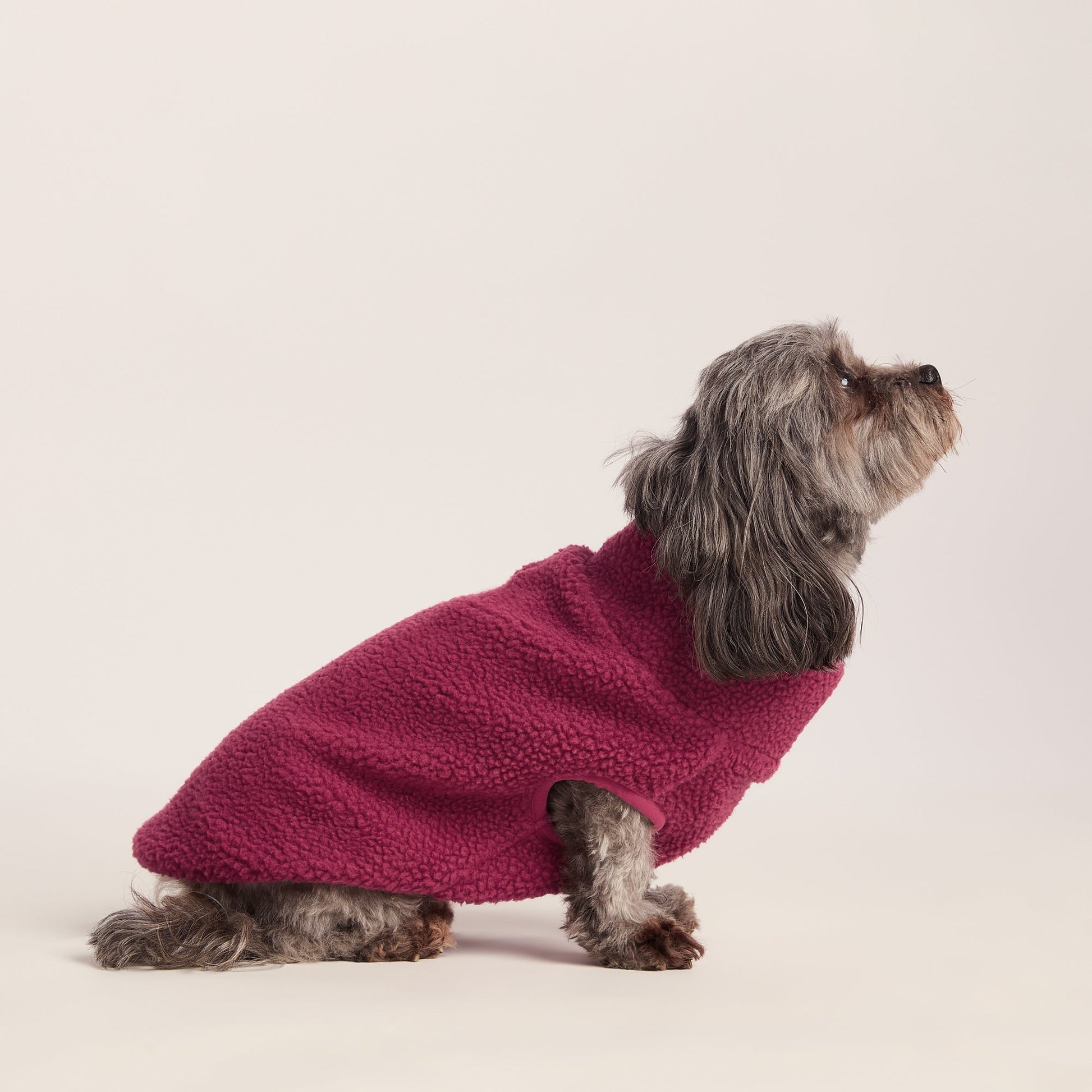Rover Sherpa Dog Coat XS - Washed Burgundy