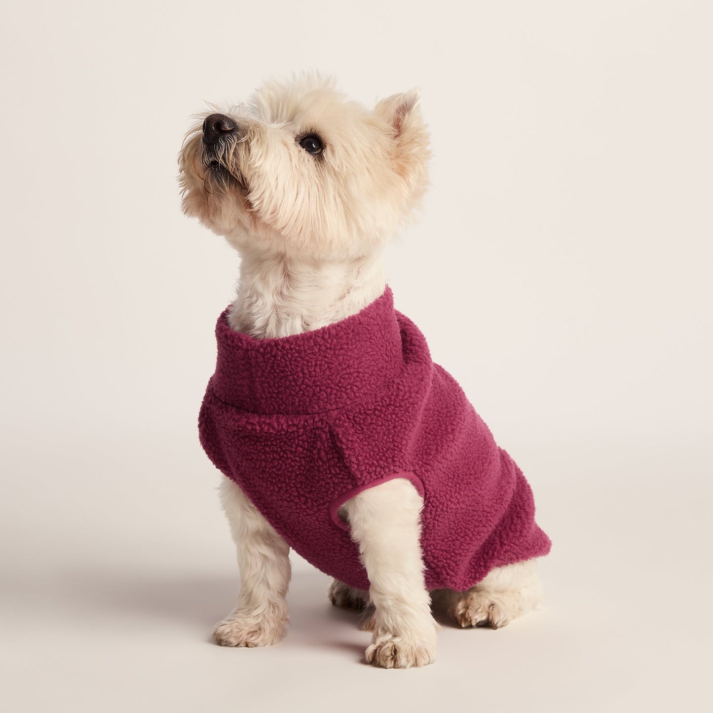 Rover Sherpa Dog Coat S - Washed Burgundy