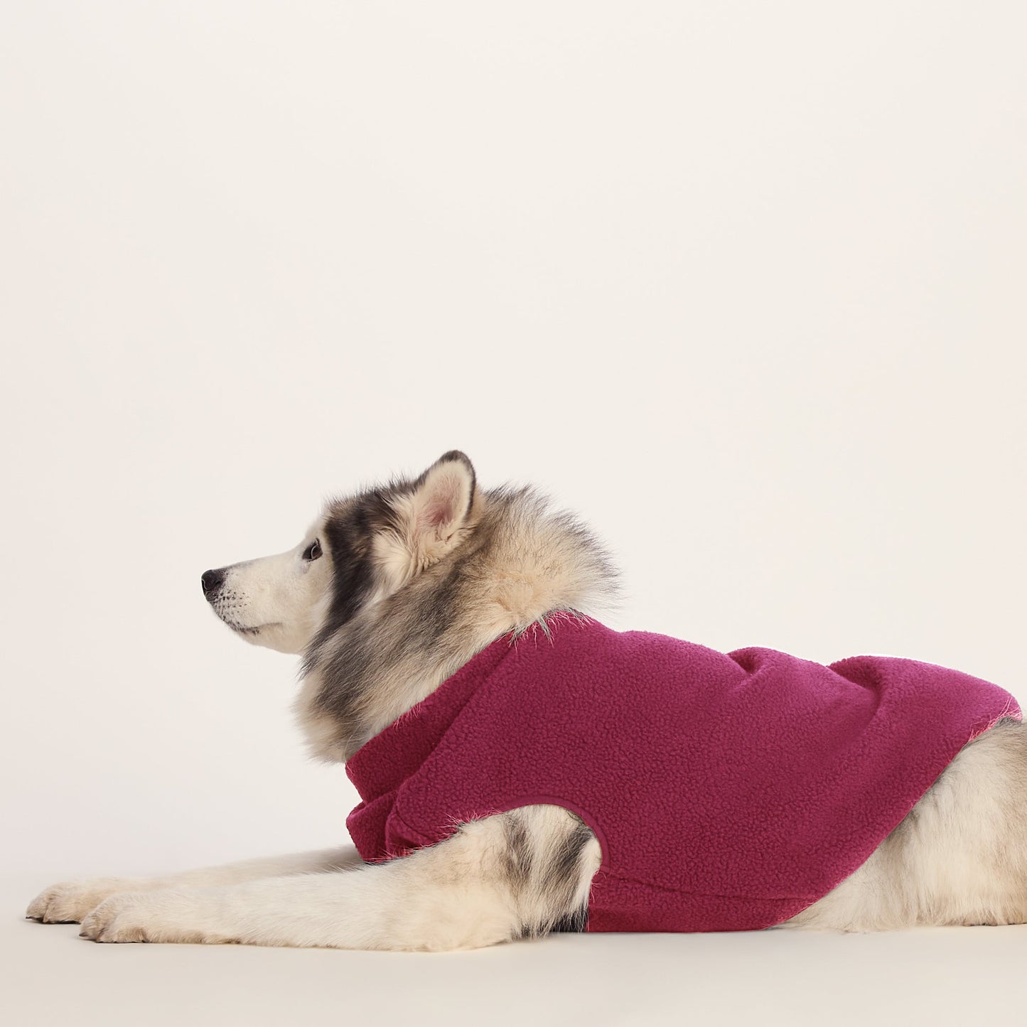 Rover Sherpa Dog Coat L - Washed Burgundy