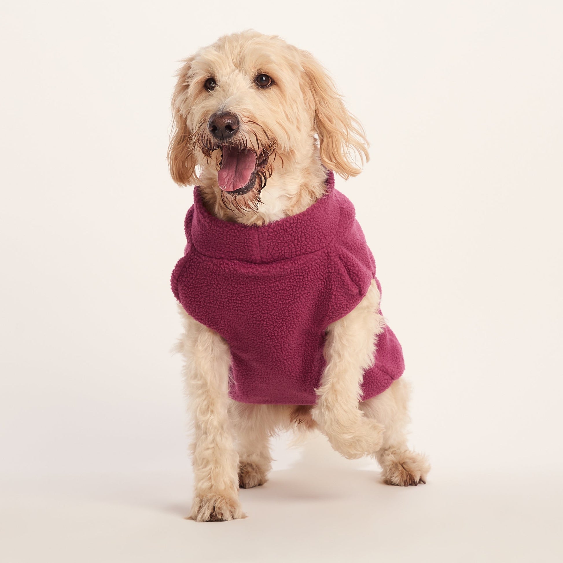 Rover Sherpa Dog Coat XL - Washed Burgundy