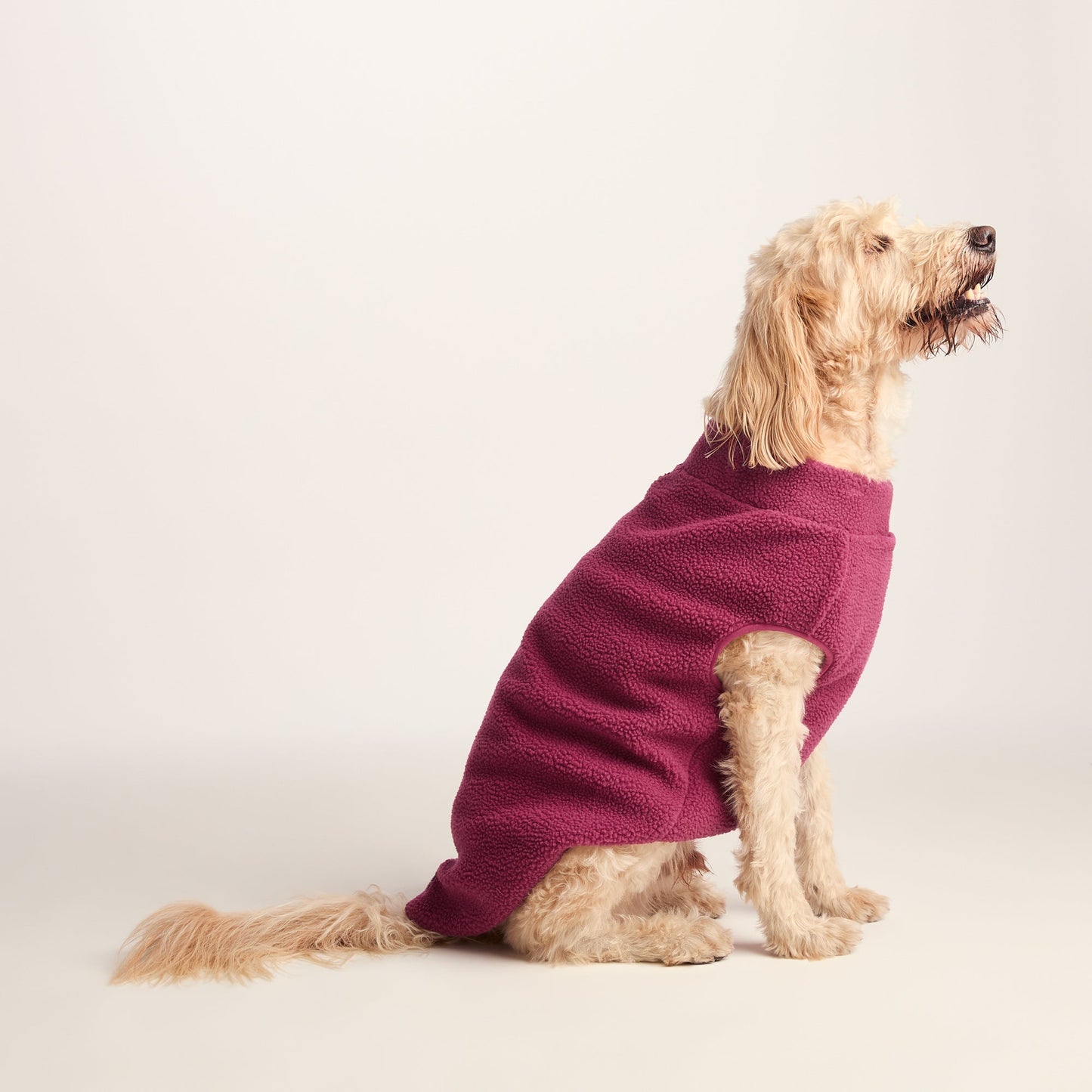 Rover Sherpa Dog Coat XL - Washed Burgundy